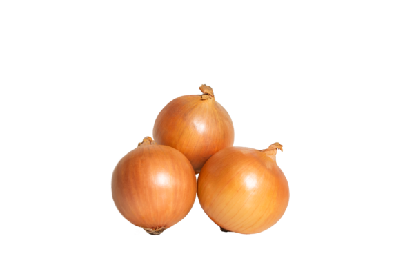 Brown Onions 20kg - Image 2